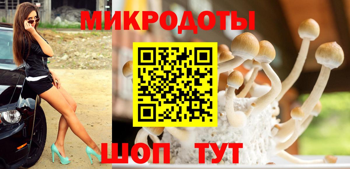 Советская Гавань  Псилоцибиновые грибы прущие грибы  Вход с VPN 